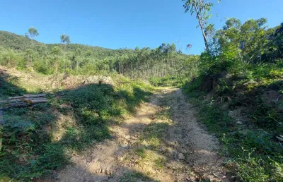 Chácara / sítio à venda no Cedro Grande, Brusque 