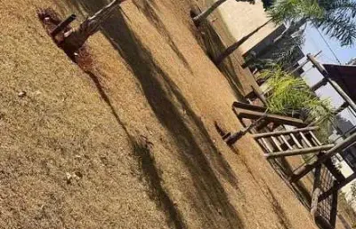 Terreno em condomínio, 277,55m², à venda em ribeirão preto, bonfim paulista