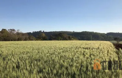Chácara / sítio à venda na Área Rural de Campo Mourão, Campo Mourão 
