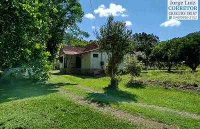 Chácara / sítio à venda na Rua Coronel Steiglich, Canto Schenkel, Nova Petrópolis