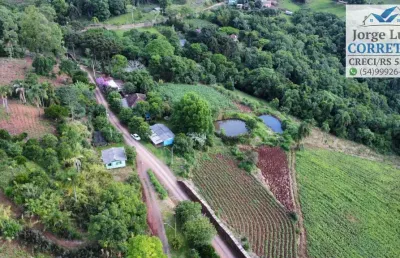 Chácara / sítio com 4 quartos à venda na Rodovia BR 116, Recanto das Flores, Morro Reuter