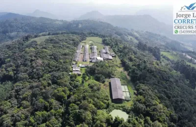 Chácara / sítio à venda na Avenida Vicente Prietto, Morro Bock, Picada Café