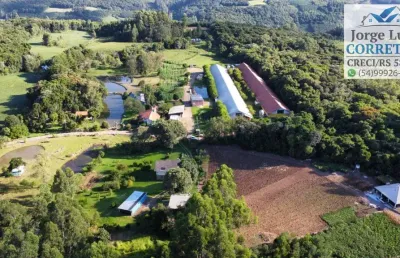 Excelente sítio produtivo pra venda em nova petrópolis serra gaúcha.