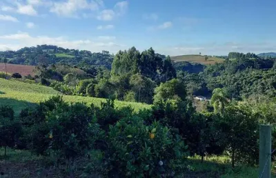 Chácara / sítio com 2 quartos à venda no Bateias, Campo Largo 