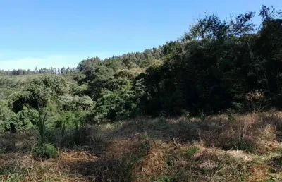 Terreno comercial à venda na 3 Barras De Cima, Campina do Vargedo, Campo Largo
