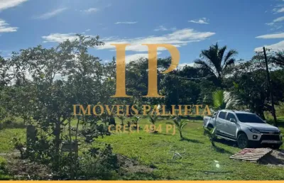 Vende-se sítio, propriedade com 12.500m², no rio preto da eva, amazonas.