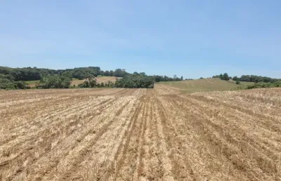 Terreno à venda na Rondinha, Campo Largo 