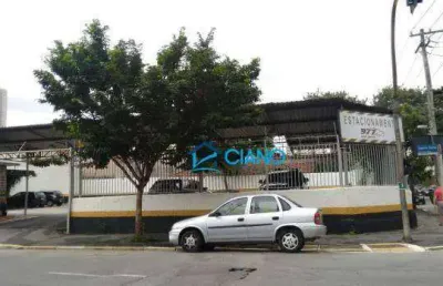 Terreno para alugar, 928 m² por r$ 21.680,00/mês - belenzinho - são paulo/sp
