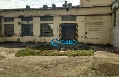 Terreno à venda, 2517 m² por r$ 14.050.000,00 - belenzinho - são paulo/sp