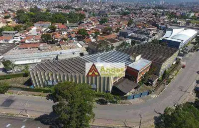 Galpão 7800 m² ao lado do terminal de cargas da fernão dias - venda por r$ 30.000.000 ou aluguel por r$ 105.000/mês - parque edu chaves - são paulo/sp