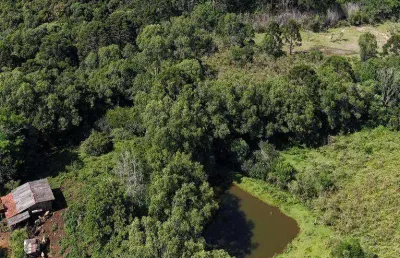 Chácara à venda, 100000 m² por r$ 1.500.000,00 - boqueirão - guarapuava/pr
