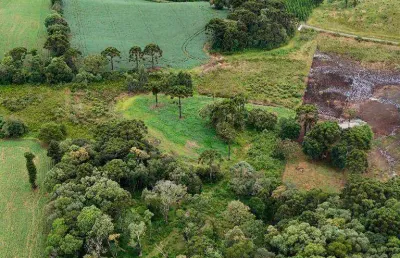 Chácara / sítio à venda na Área Rural de Guarapuava, Guarapuava 