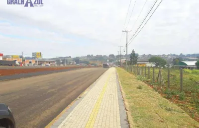 Terreno à venda, 10000 m² por r$ 15.000.000,00 - industrial - guarapuava/pr