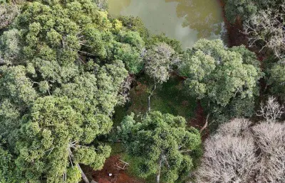 Chácara à venda, 20000 m² por r$ 440.000 - jordão - 8 km do centro