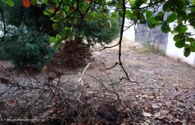 Terreno para venda em presidente prudente, ocidental