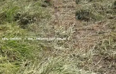 Terreno para venda em presidente prudente, residencial alta vista