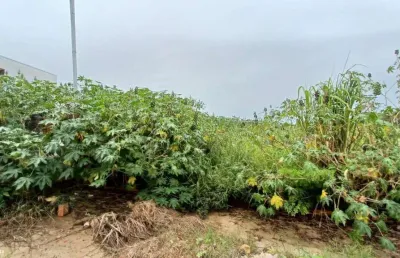 Terreno para venda em presidente prudente, residencial bongiovani