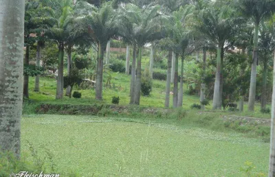 Terreno rural à venda, próximo a villa hípica, gravatá.