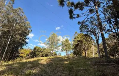 Terreno à venda em campo alegre-sc, 19.991,66 m². a oportunidade que você esperava!