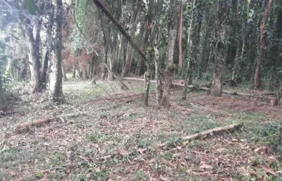 Terreno à venda no Bom Retiro, Joinville 