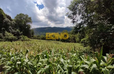 Chácara / sítio à venda no galópolis, caxias do sul  por r$ 162.000