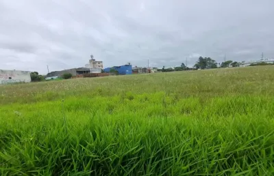 Terreno à venda na avenida assis brasil, 8085, sarandi, porto alegre por r$ 38.000.000