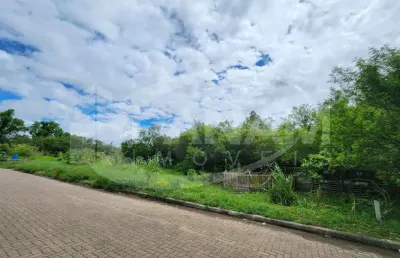 Terreno à venda na rua ary dias dhil, passo do feijó, alvorada por r$ 3.500.000