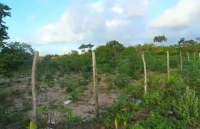 Terreno para vender, cond. parque das árvores, com área de 1.000 m².