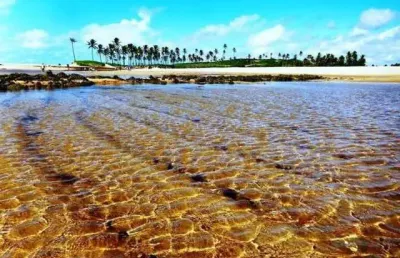 Terreno para vender, linda vista do mar, na praia de jacumã, barra de maxaranguape, com área de 490