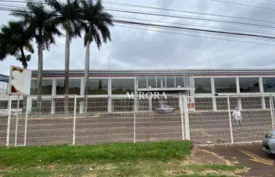 Loja para alugar, 1800 m² por r$ 45.000,00/mês - pacaembu - londrina/pr