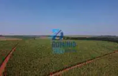 Fazenda à venda na Área Rural, Área Rural de Uberaba, Uberaba