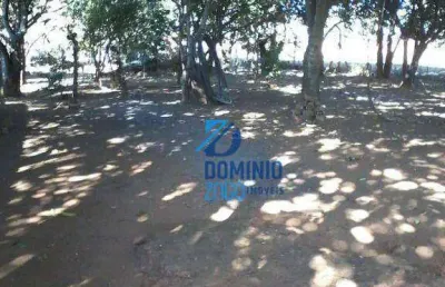Chácara à venda, 10000 m² por r$ 200.000,00 - chácaras são basílio - uberaba/mg