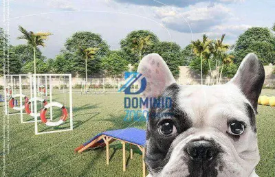 Terreno à venda, 278 m² por r$ 175.000,00 - conjunto manoel mendes - uberaba/mg