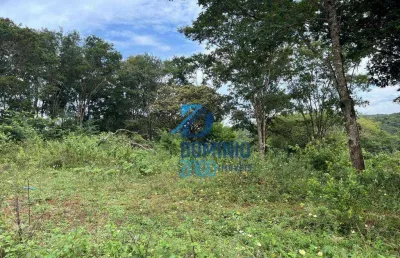 Terreno à venda na Avenida Pedro Lucas, Fabrício, Uberaba