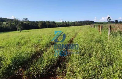 Fazenda br 262 - sentido campo florido - 13 alqueires