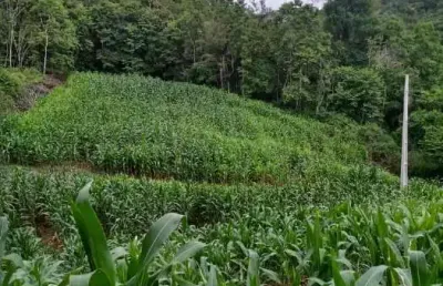 Terreno à venda na geral do rio engano, 01, rio engano, alfredo wagner por r$ 500.000