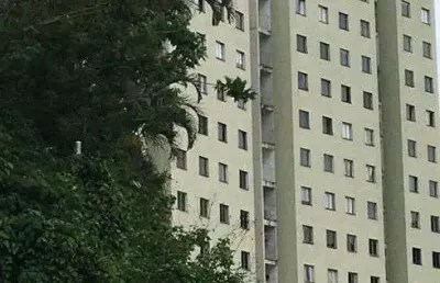 Apartamento para aluguel com 2 quartos em eldorado - juiz de fora - mg