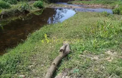 Chácara à venda 40000m², ribeirão grande, pindamonhangaba - sp