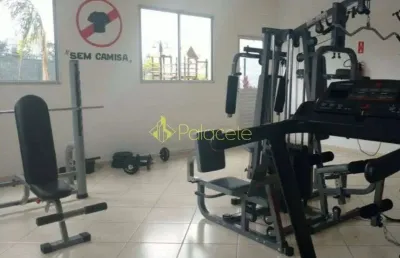 Apartamento à venda 2 quartos, 1 vaga, 48m², alto do cardoso, pindamonhangaba - sp | condominio pri