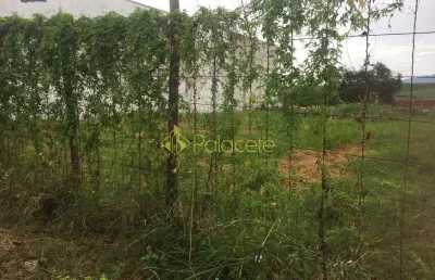 Terreno à venda no Residencial Mombaça, Pindamonhangaba 