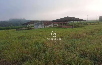 Sítio à venda, 508200 m² por r$ 4.410.000,00 - zona rural - tambaú/sp