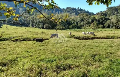 Chácara / sítio com 2 quartos à venda na Área Rural de Jaraguá do Sul, Jaraguá do Sul 