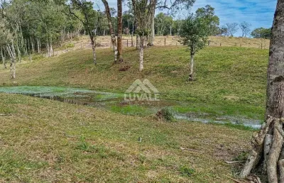 Chácara / sítio com 1 quarto à venda na Estrada Antonio Zwiefka, 1, Área Rural de São Bento do Sul, São Bento do Sul