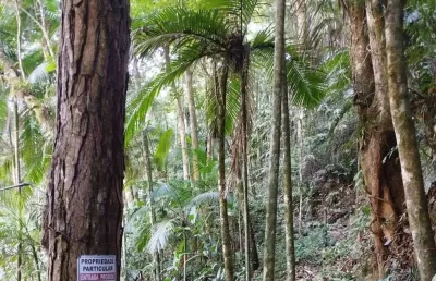 Chácara / sítio com 1 quarto à venda no Testo Rega, Pomerode 