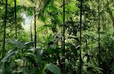 Chácara / sítio à venda no Testo Rega, Pomerode 