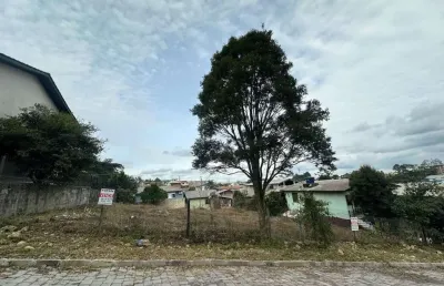 Terreno à venda no São Ciro, Caxias do Sul 