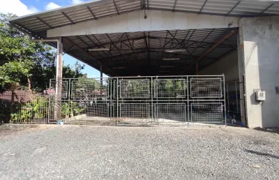Barracão / Galpão / Depósito à venda na Rua Triunfo, 00, Testo Salto, Blumenau