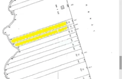 Terreno, 3235 m² - venda por r$ 8.100.000,00 ou aluguel por r$ 15.000,00/mês - vila carmosina - são paulo/sp
