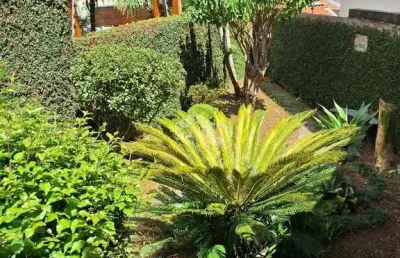 Casa com 2 quartos à venda na Rua Campinas, 408, Vila Rosália, Guarulhos