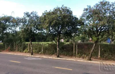 Terreno comercial à venda no Guarani, Parobé 